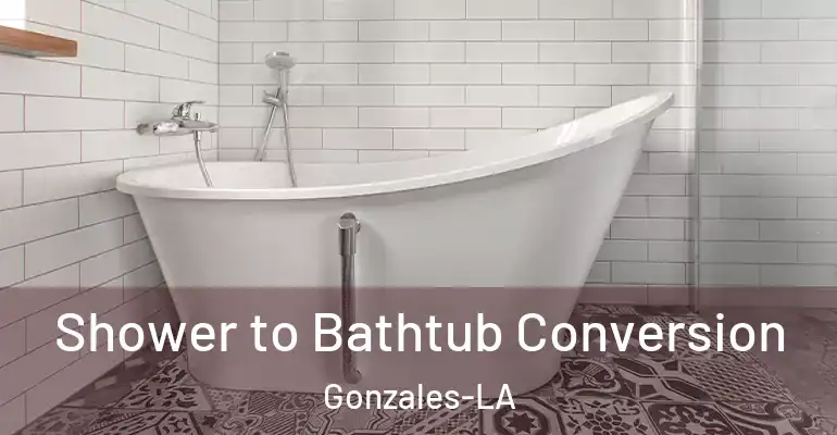inner Bathroom imggen Shower to Bathtub Conversion Gonzales-LA