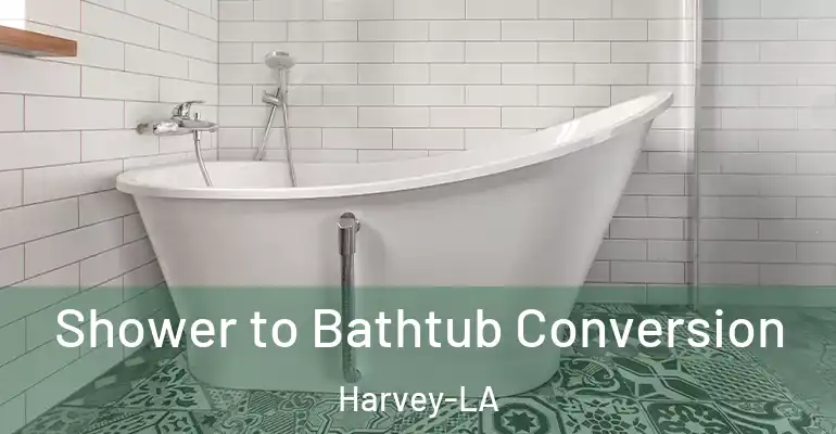 inner Bathroom imggen Shower to Bathtub Conversion Harvey-LA
