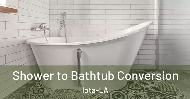 inner Bathroom imggen Shower to Bathtub Conversion Iota-LA