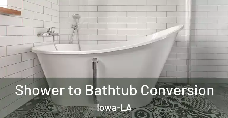 inner Bathroom imggen Shower to Bathtub Conversion Iowa-LA