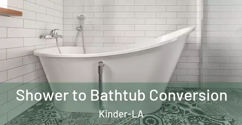 inner Bathroom imggen Shower to Bathtub Conversion Kinder-LA