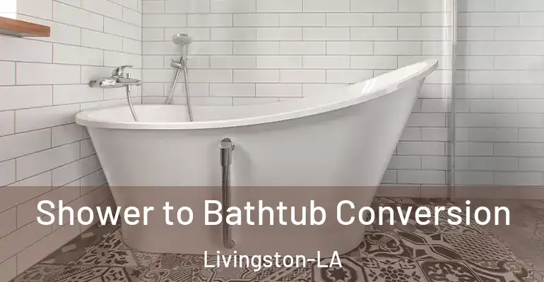 inner Bathroom imggen Shower to Bathtub Conversion Livingston-LA