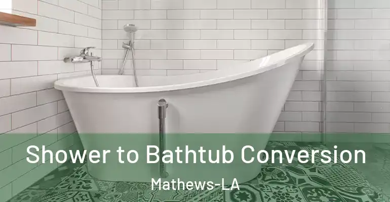 inner Bathroom imggen Shower to Bathtub Conversion Mathews-LA