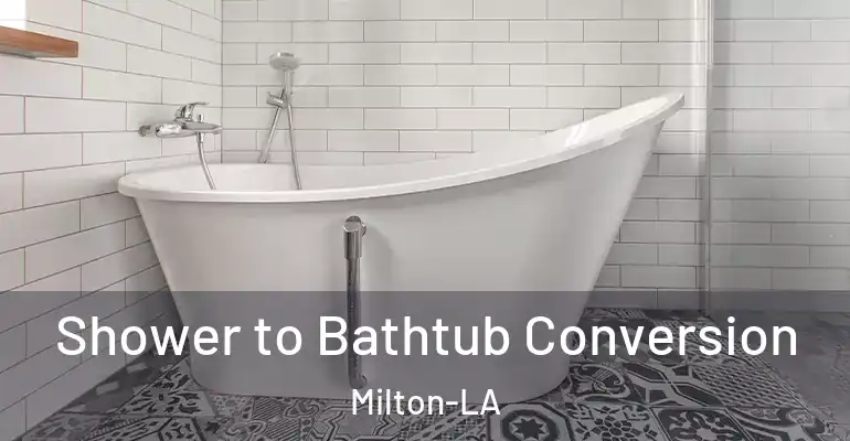 inner Bathroom imggen Shower to Bathtub Conversion Milton-LA