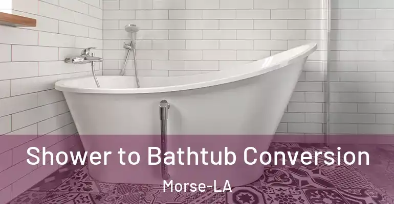 inner Bathroom imggen Shower to Bathtub Conversion Morse-LA