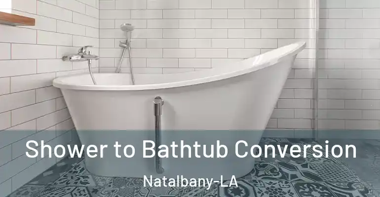 inner Bathroom imggen Shower to Bathtub Conversion Natalbany-LA