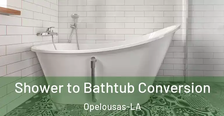 inner Bathroom imggen Shower to Bathtub Conversion Opelousas-LA