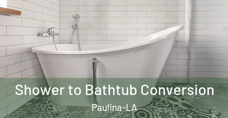inner Bathroom imggen Shower to Bathtub Conversion Paulina-LA