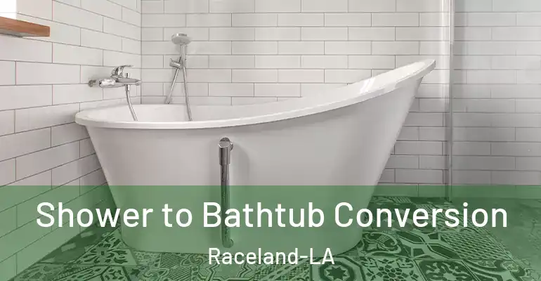 inner Bathroom imggen Shower to Bathtub Conversion Raceland-LA