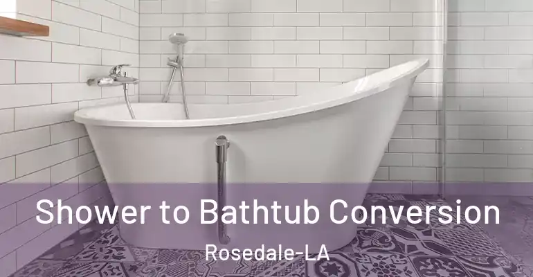 inner Bathroom imggen Shower to Bathtub Conversion Rosedale-LA