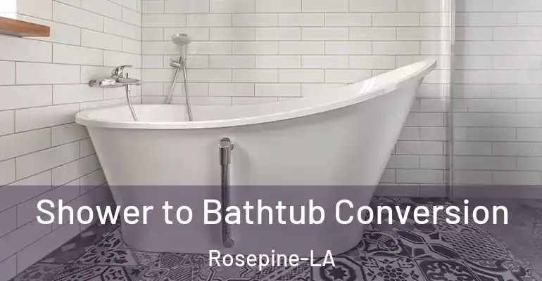 inner Bathroom imggen Shower to Bathtub Conversion Rosepine-LA
