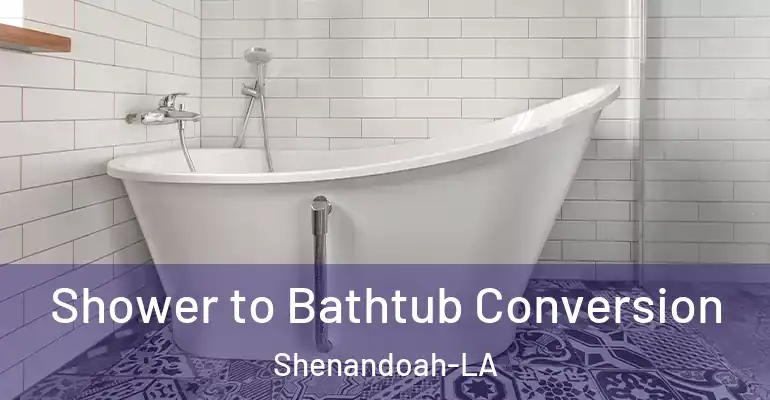 inner Bathroom imggen Shower to Bathtub Conversion Shenandoah-LA