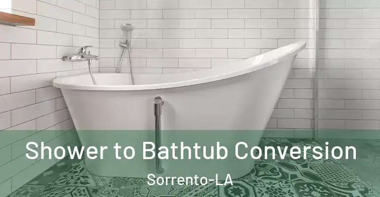 inner Bathroom imggen Shower to Bathtub Conversion Sorrento-LA