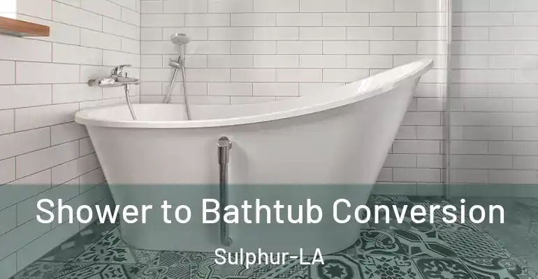 inner Bathroom imggen Shower to Bathtub Conversion Sulphur-LA