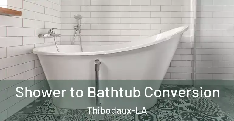 inner Bathroom imggen Shower to Bathtub Conversion Thibodaux-LA