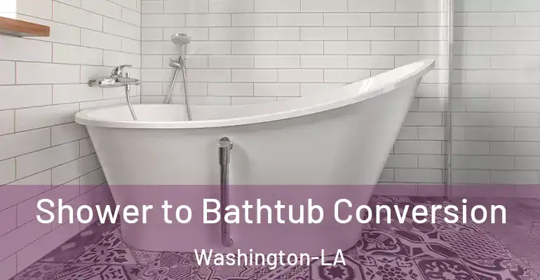 inner Bathroom imggen Shower to Bathtub Conversion Washington-LA