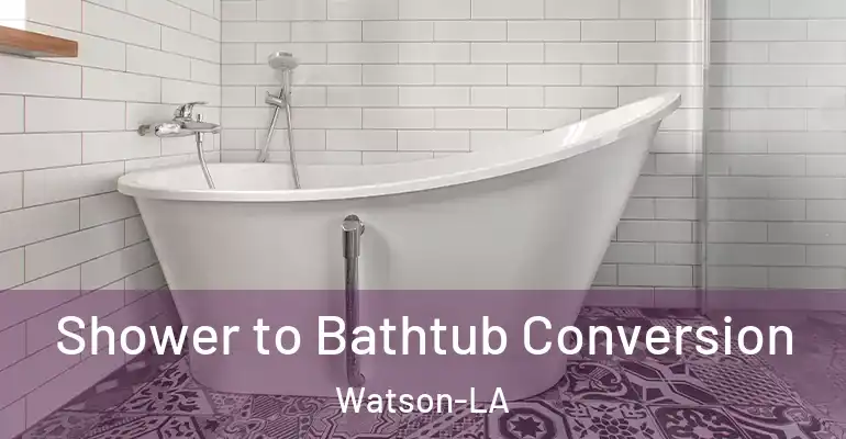 inner Bathroom imggen Shower to Bathtub Conversion Watson-LA