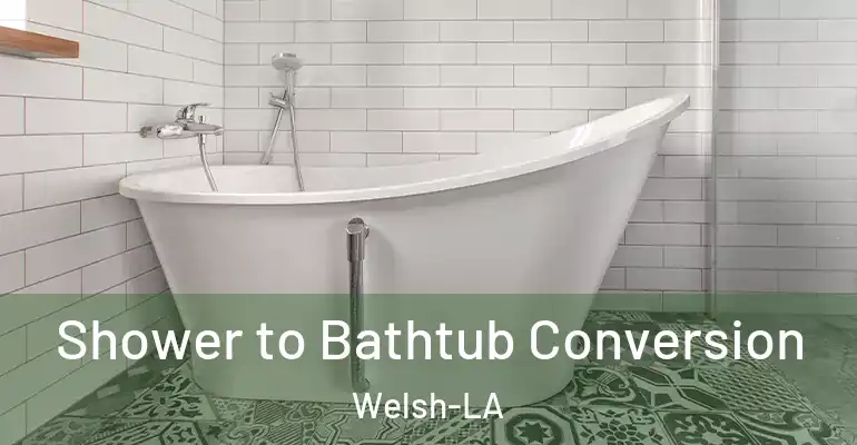 inner Bathroom imggen Shower to Bathtub Conversion Welsh-LA