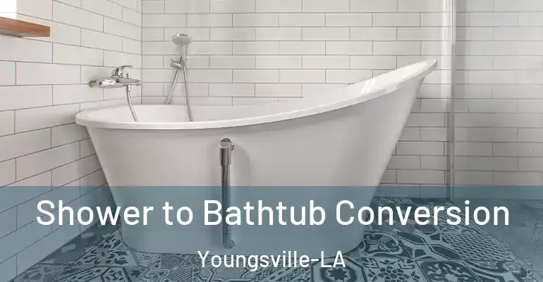 inner Bathroom imggen Shower to Bathtub Conversion Youngsville-LA