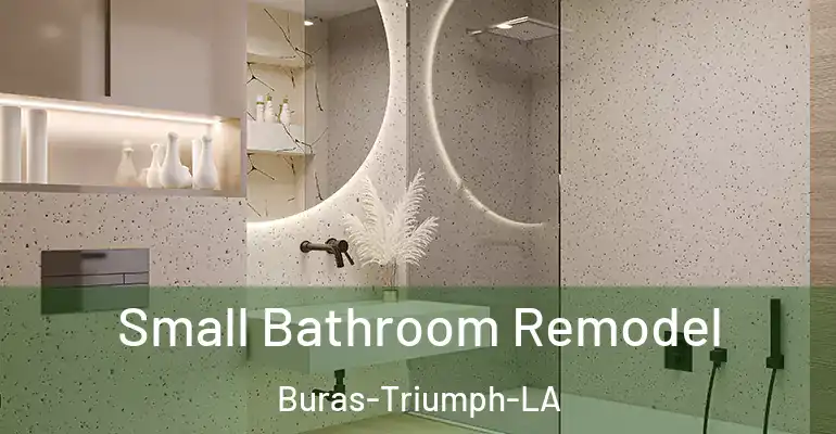 inner Bathroom imggen Small Bathroom Remodel Buras-Triumph-LA