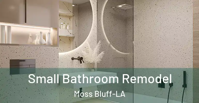 inner Bathroom imggen Small Bathroom Remodel Moss Bluff-LA