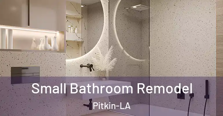inner Bathroom imggen Small Bathroom Remodel Pitkin-LA