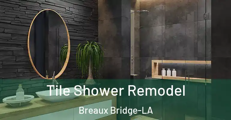 inner Bathroom imggen Tile Shower Remodel Breaux Bridge-LA