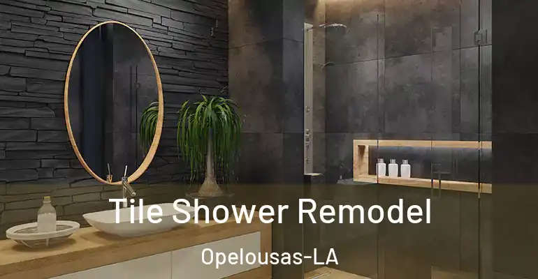 inner Bathroom imggen Tile Shower Remodel Opelousas-LA