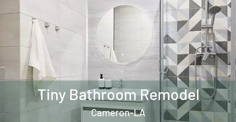 inner Bathroom imggen Tiny Bathroom Remodel Cameron-LA