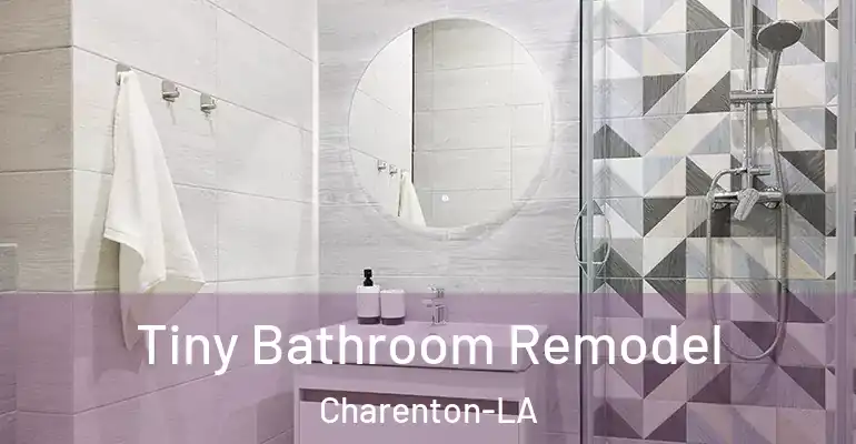 inner Bathroom imggen Tiny Bathroom Remodel Charenton-LA