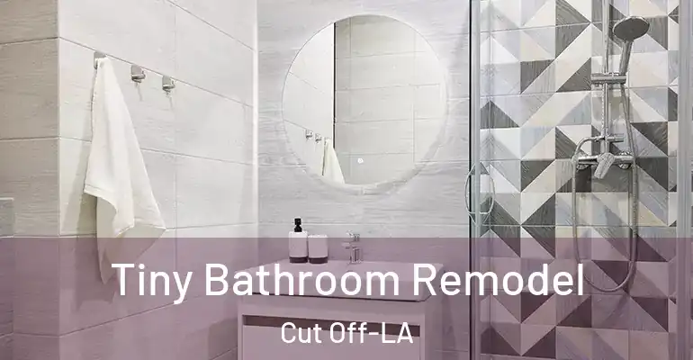 inner Bathroom imggen Tiny Bathroom Remodel Cut Off-LA