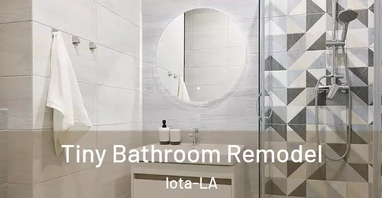 inner Bathroom imggen Tiny Bathroom Remodel Iota-LA