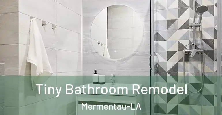 inner Bathroom imggen Tiny Bathroom Remodel Mermentau-LA