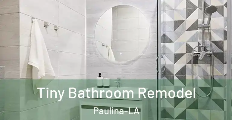 inner Bathroom imggen Tiny Bathroom Remodel Paulina-LA