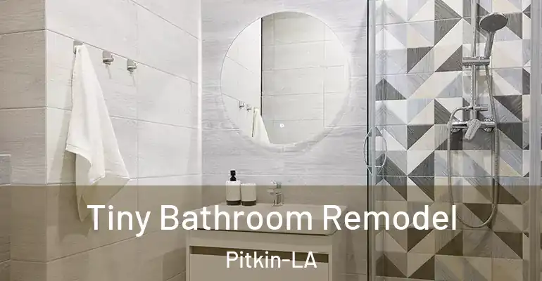inner Bathroom imggen Tiny Bathroom Remodel Pitkin-LA