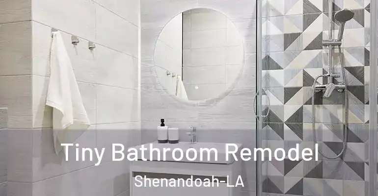 inner Bathroom imggen Tiny Bathroom Remodel Shenandoah-LA