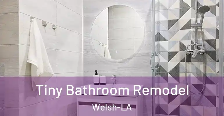 inner Bathroom imggen Tiny Bathroom Remodel Welsh-LA