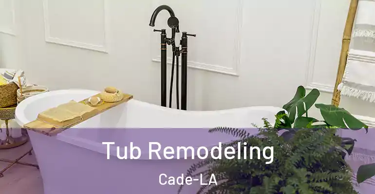 inner Bathroom imggen Tub Remodeling Cade-LA