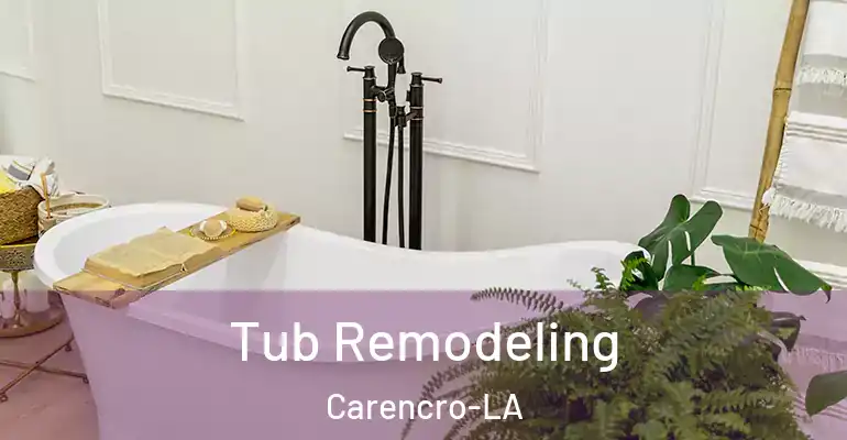 inner Bathroom imggen Tub Remodeling Carencro-LA