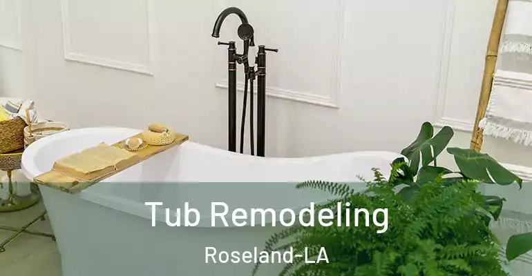 inner Bathroom imggen Tub Remodeling Roseland-LA