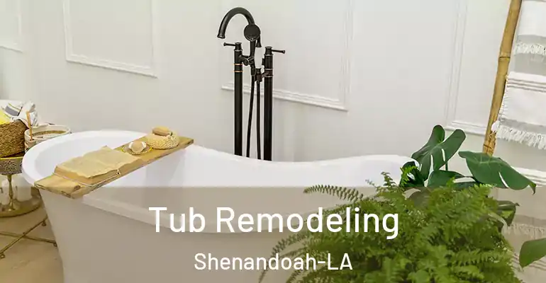inner Bathroom imggen Tub Remodeling Shenandoah-LA