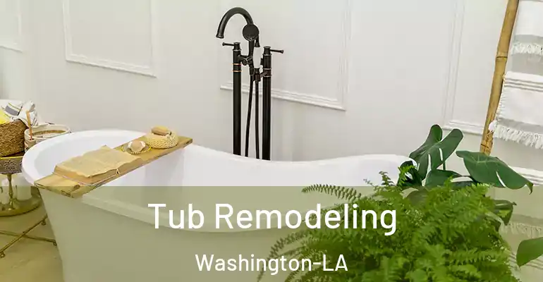 inner Bathroom imggen Tub Remodeling Washington-LA
