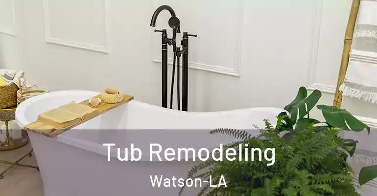 inner Bathroom imggen Tub Remodeling Watson-LA