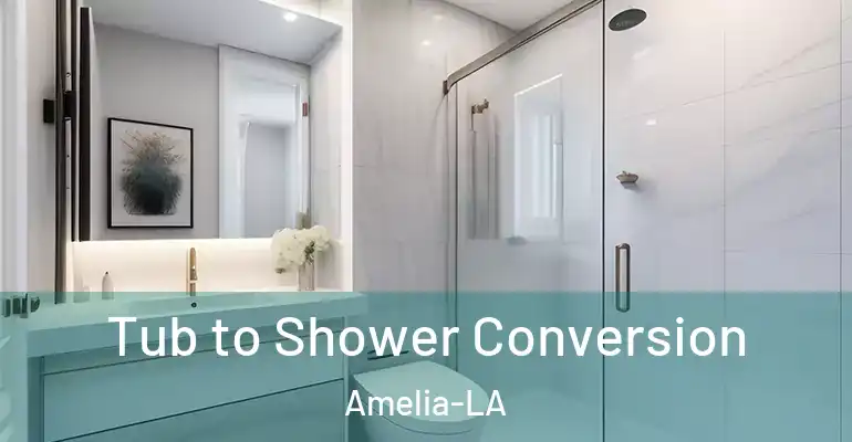 inner Bathroom imggen Tub to Shower Conversion Amelia-LA