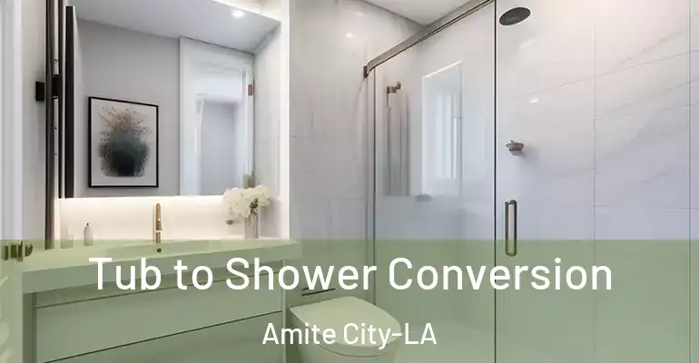 inner Bathroom imggen Tub to Shower Conversion Amite City-LA