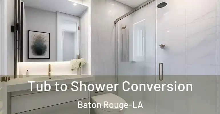 inner Bathroom imggen Tub to Shower Conversion Baton Rouge-LA