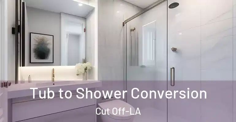 inner Bathroom imggen Tub to Shower Conversion Cut Off-LA