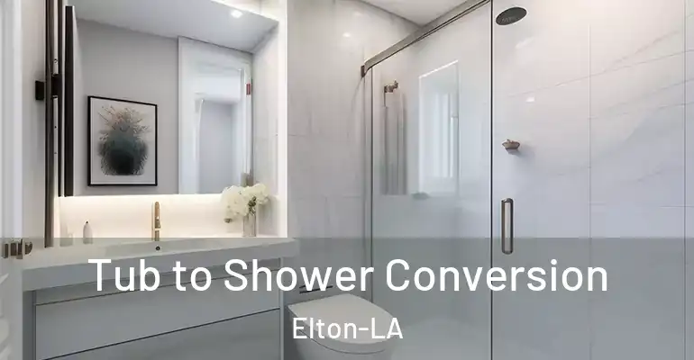 inner Bathroom imggen Tub to Shower Conversion Elton-LA