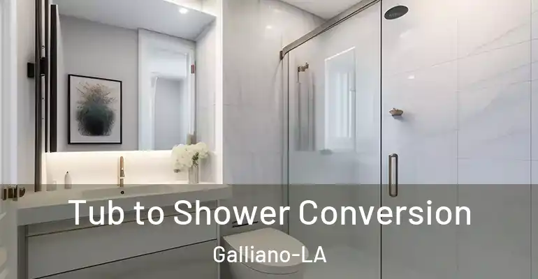 inner Bathroom imggen Tub to Shower Conversion Galliano-LA