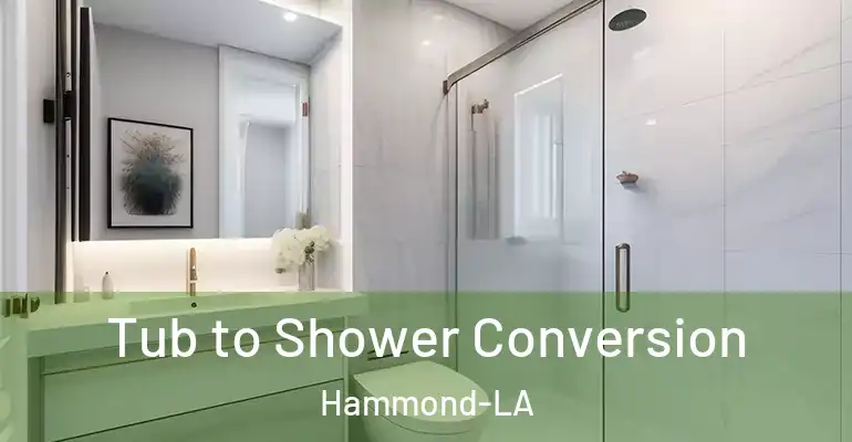 inner Bathroom imggen Tub to Shower Conversion Hammond-LA